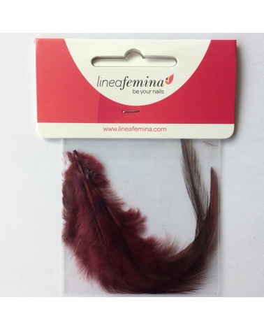 Nail-Art Trio de Plume 