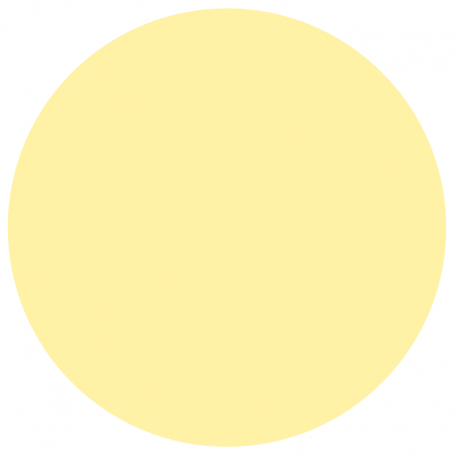 Vernis Permanent N°270 BORNEO