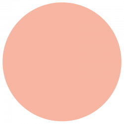 Vernis Permanent N°250 JAVA