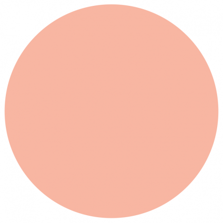 Vernis Permanent N°250 JAVA