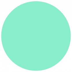 Vernis Permanent N°290 MAYOTTE