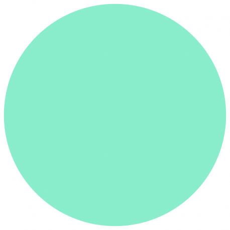 Vernis Permanent N°290 MAYOTTE