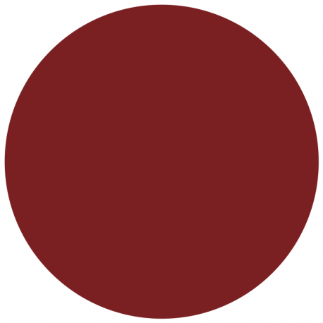 Vernis Permanent N°400 PYNOP