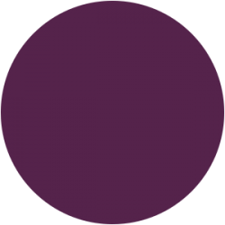 Vernis Permanent N°100 Mauve Foncé