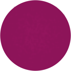 Vernis Permanent N°120 Fuschia Nacré