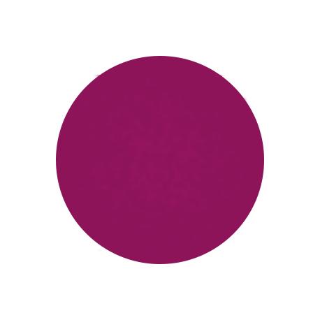 Vernis Permanent N°120 Fuschia Nacré