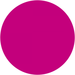 Vernis Permanent N°140 Fuschia Vif