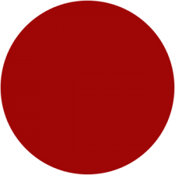 Vernis Permanent N°220 Rouge Foncé