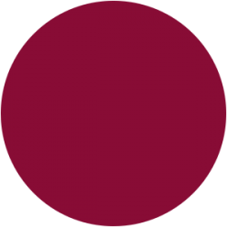 Vernis Permanent N°230 Bordeaux Nacré