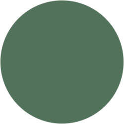 Vernis Permanent N°  7ml