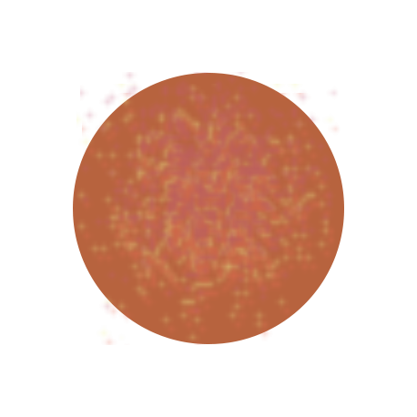 Vernis Permanent N°500 Lion  7ml