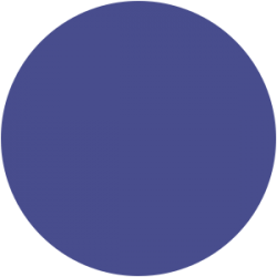 Vernis Permanent N°470  7ml