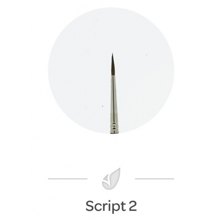 Pinceau Nail Art Script 2