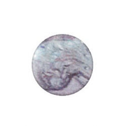 Gel Color Uv N°0315 Reflect Opaline 5Ml