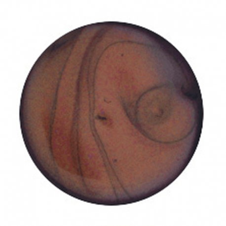 Gel Color Uv N°0690 Reflect Viper